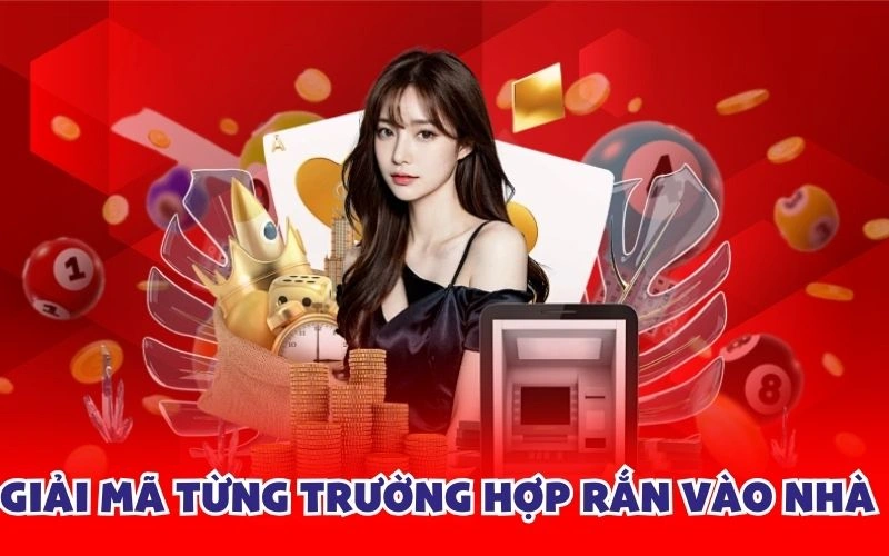 Giải mã từng trường hợp rắn vào nhà