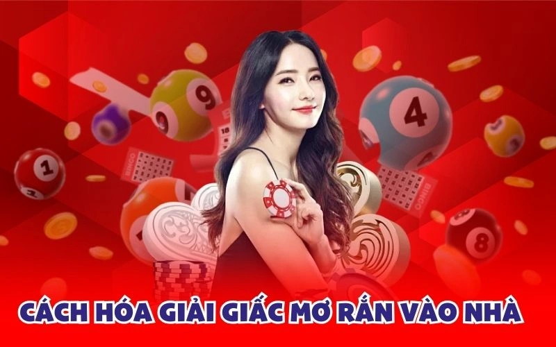 Cách hóa giải giấc mơ rắn vào nhà