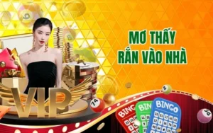 Mơ Thấy Rắn